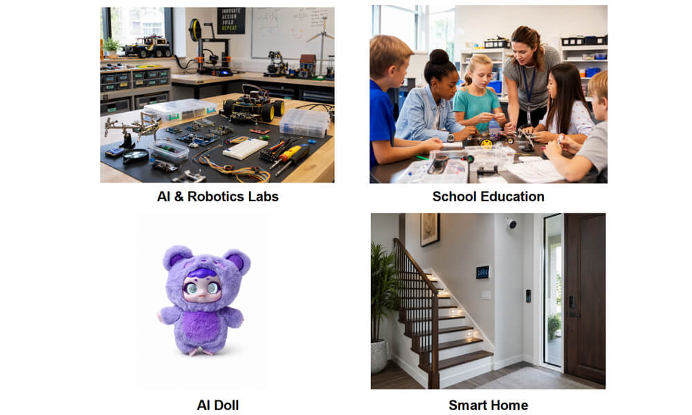 ESP32-S3 develop boards application